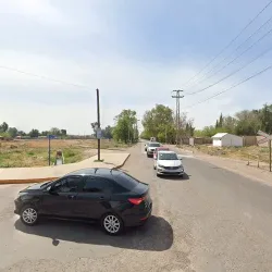 Negocio A.d.a.d Delfín