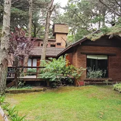 Negocio Abeto Cabañas Lemu