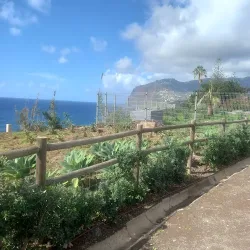 Negocio Acqua Apartments