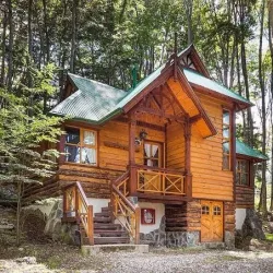 Negocio Aldea Nevada Cabañas