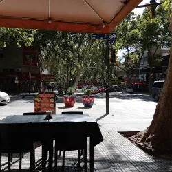 Negocio Alexander Hotel