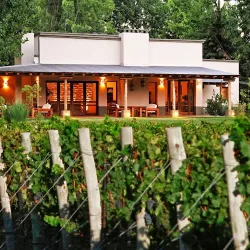 Algodon Wine Estates