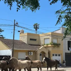 Negocio Alojamiento Temporal Lo De Ana