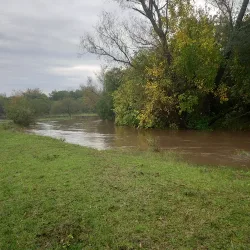 Negocio Alojamientos Pequeño Arroyo
