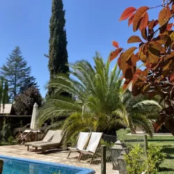 Negocio Alto Chacras Cottage