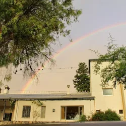 Negocio Angelus Hotel Boutique