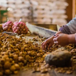 Negocio Apacheta Posada Rural