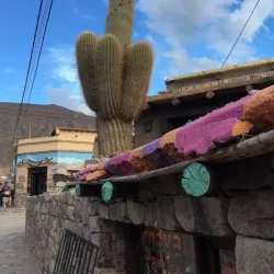 Negocio Apapacho Hostel