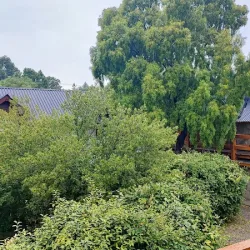 Negocio Apart Casa Alta