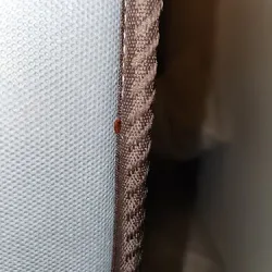 Negocio Apart Las Piedras 2