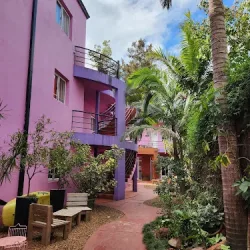 Apart Mis Amigos - Alojamiento En Colón