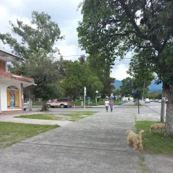 Negocio Aparthotel 383