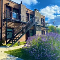 Negocio Aparts Calafate Suites