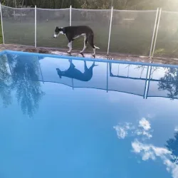 Negocio Aquí Tampoco