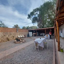 Negocio Arbol Tilcara