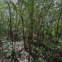 Negocio Are Kepay Hotel De Montaña