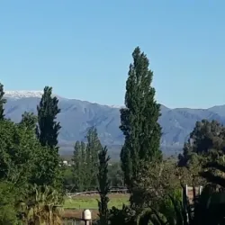 Negocio Arenales De Drummond