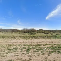 Negocio Ariel Sternischia