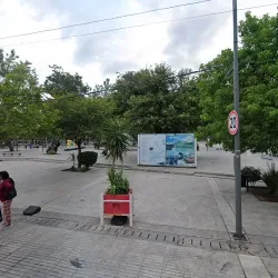 Negocio Ayllu Camping Y Cabaňa