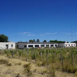 Negocio Bahía Bustamante Lodge
