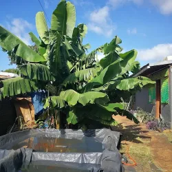 Negocio Bait Kasher Iguazu