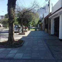 Negocio Bajos De Amador