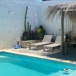 Negocio Bardot Hostel