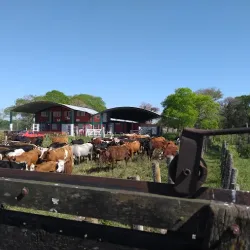 Negocio Barrio Rural Altos De Itati