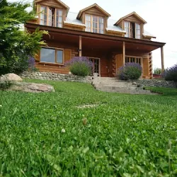 Negocio B&B Cabaña Patagónica