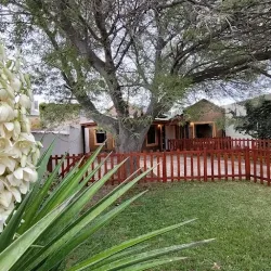 Negocio B&B El Patio Del Aromo