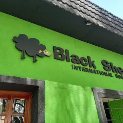 Black Sheep International Hostel