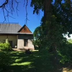 Negocio Bodega Cavagnaro - Viña Maria