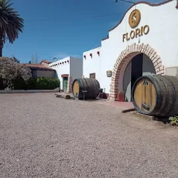 Negocio Bodega Florio Mendoza