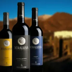 Negocio Bodega Miraluna