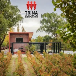Negocio Bodega Trina