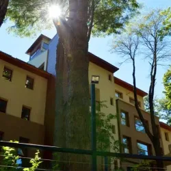 Negocio Bosque Del Nahuel Hotel Boutique & Spa