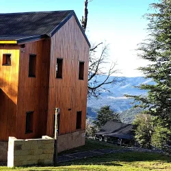 Negocio Bosque Nevado