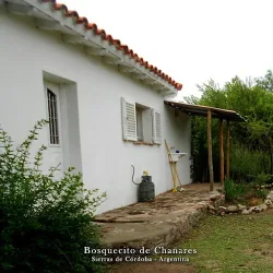 Negocio Bosquecito De Chañares