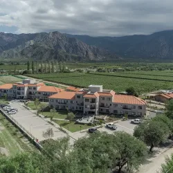 Negocio Buena Vid By Chadel