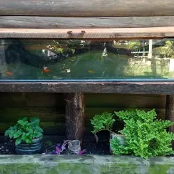 Negocio Bungalows Maneyros