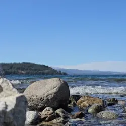 Negocio Bungalows Nahuel Malal