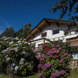 Negocio Bustillo 7500