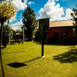 Negocio Cabaña De Tronco