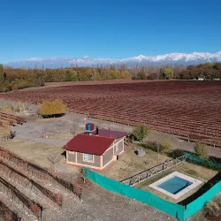 Negocio Cabaña Del Alto Tupungato