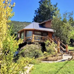 Negocio Cabaña Del Árbol