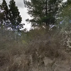 Negocio Cabaña El Metejon