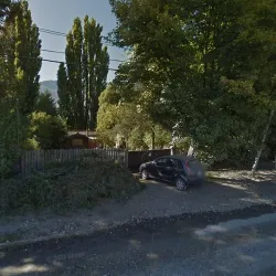 Negocio Cabaña Los Pinos