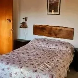 Negocio Cabaña Los Radales