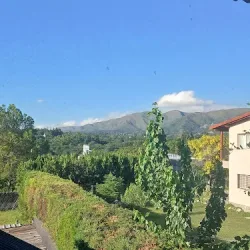 Negocio Cabaña Naguan- Yacoana