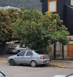 Negocio Cabaña Paimún